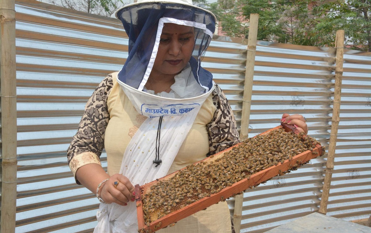 मौरीपालक सरिता भट्टराई (श्रेष्ठ)। तस्बिरः सविना कार्की/सेतोपाटी